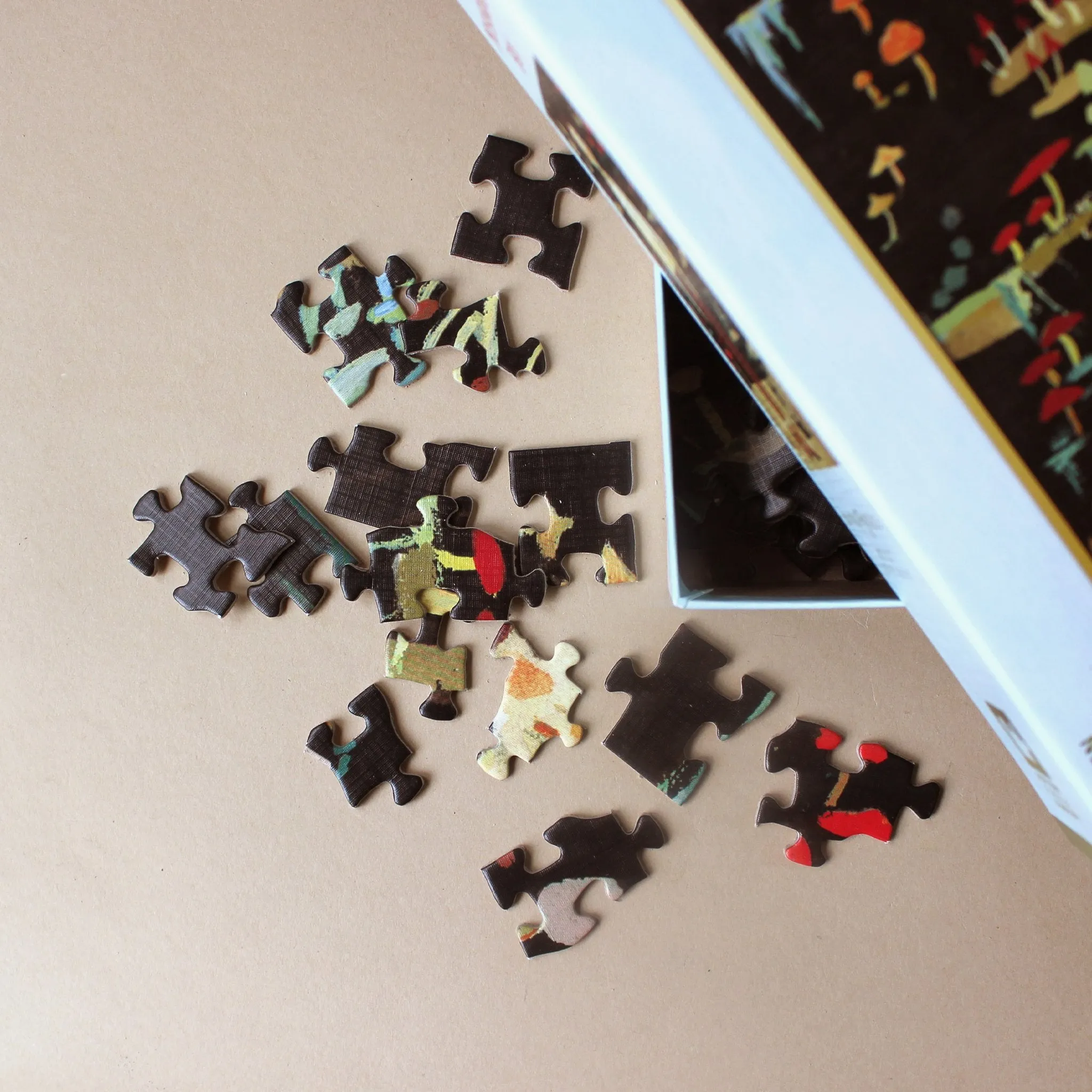 Dream World Mushroom Boy 500pc Puzzle